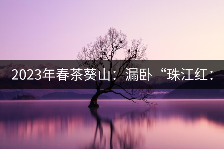 2023年春茶葵山：漏臥“珠江紅：1200元-3200元（有3個(gè)檔次）漏臥“大廠茶”：古樹單株8600-9000元／公斤，中樹4800-5200元／公斤，小樹混采2600-2800元／公斤。