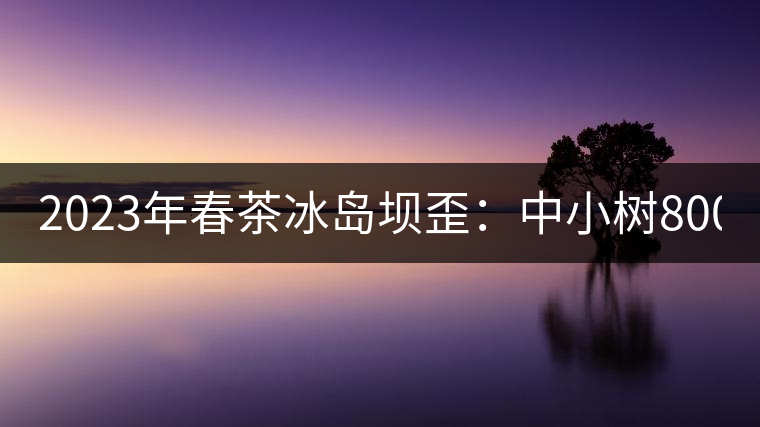 2023年春茶冰島壩歪：中小樹(shù)800元／公斤，古樹(shù)1400-1600元／公斤