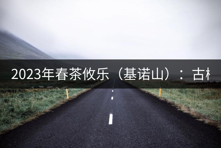 2023年春茶攸樂（基諾山）：古樹1200元／公斤，喬木：400-500元／公斤