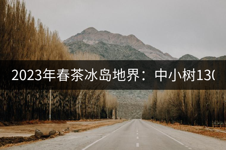 2023年春茶冰島地界：中小樹1300-1500元／公斤，古樹2200~2500元／公斤