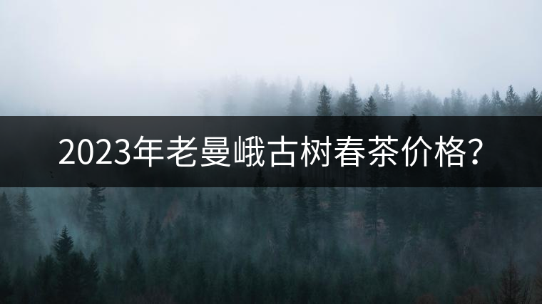 2023年老曼峨古樹(shù)春茶價(jià)格？
