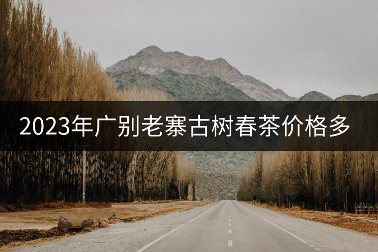 2023年廣別老寨古樹春茶價格多少？