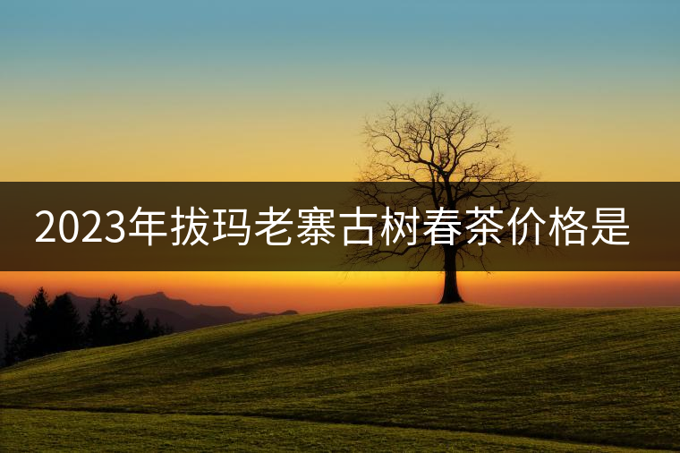 2023年拔瑪老寨古樹春茶價(jià)格是多少？