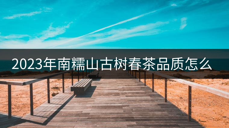 2023年南糯山古樹春茶品質怎么樣？