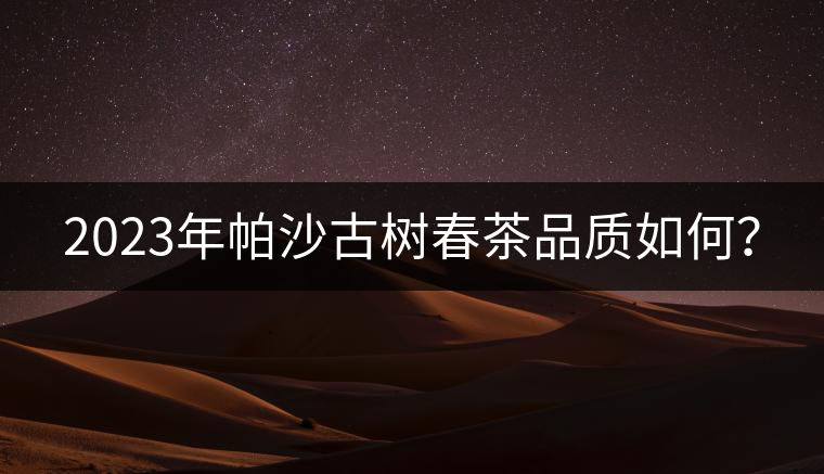 2023年帕沙古樹春茶品質(zhì)如何？