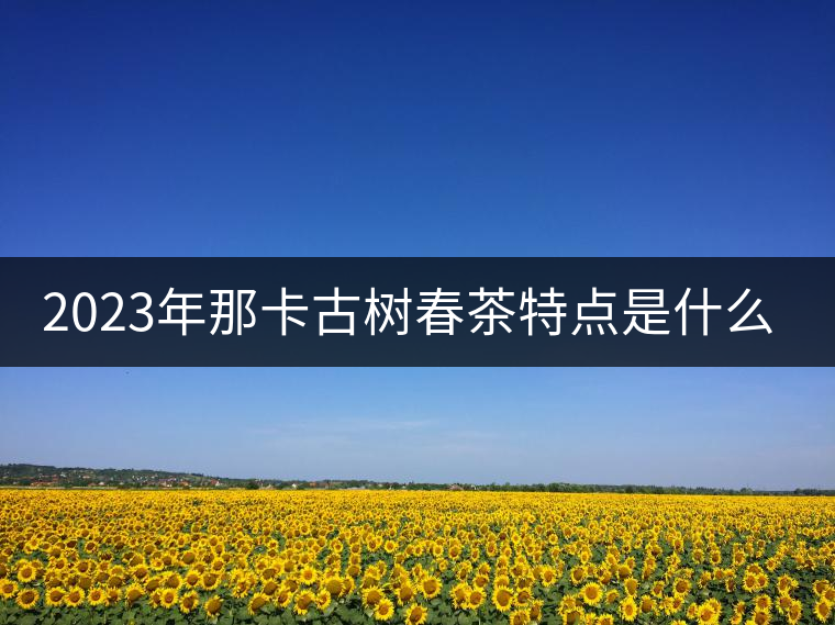 2023年那卡古樹春茶特點是什么？