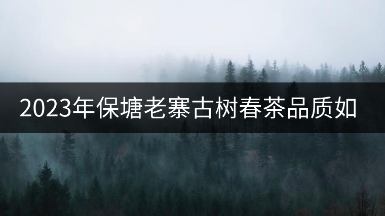 2023年保塘老寨古樹春茶品質(zhì)如何？