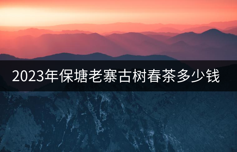 2023年保塘老寨古樹春茶多少錢一公斤？