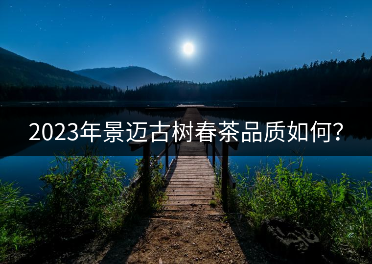 2023年景邁古樹春茶品質(zhì)如何？