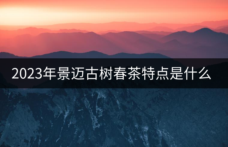 2023年景邁古樹春茶特點是什么？