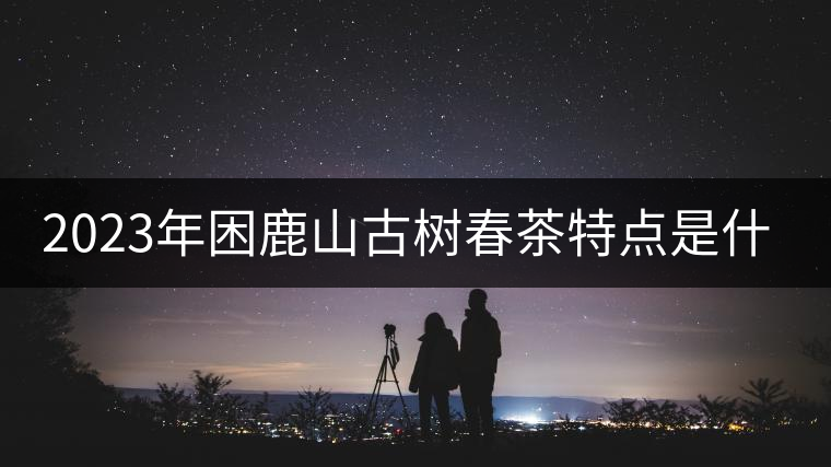 2023年困鹿山古樹(shù)春茶特點(diǎn)是什么？