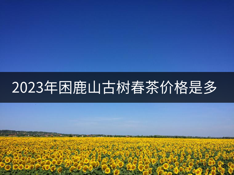 2023年困鹿山古樹春茶價(jià)格是多少？