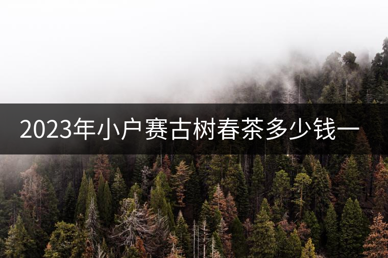 2023年小戶賽古樹春茶多少錢一公斤？