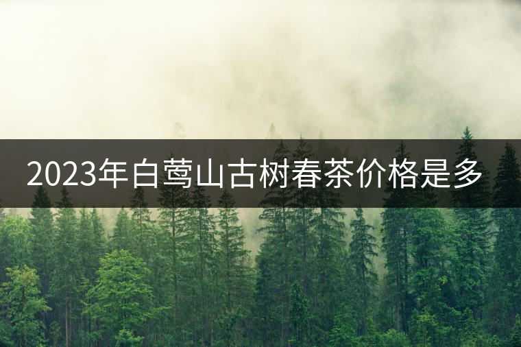 2023年白鶯山古樹春茶價(jià)格是多少？