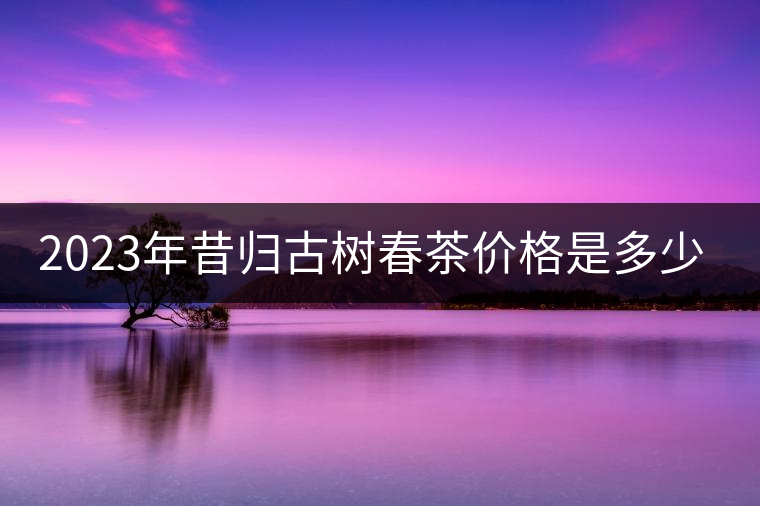 2023年昔歸古樹春茶價(jià)格是多少？