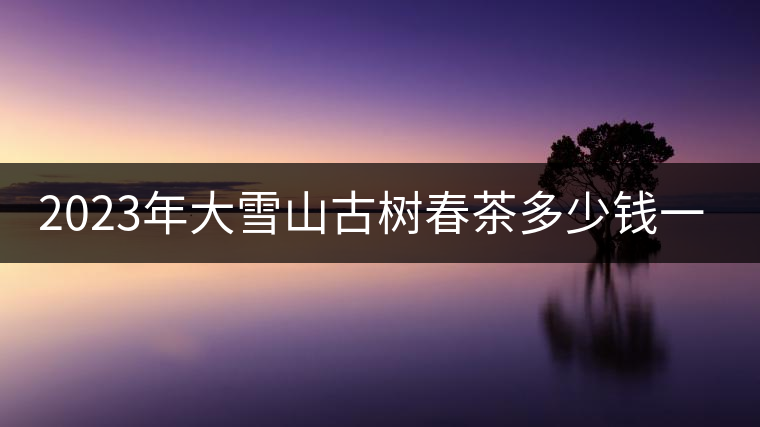 2023年大雪山古樹春茶多少錢一公斤？