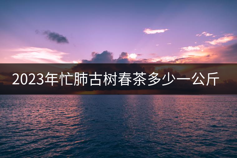 2023年忙肺古樹(shù)春茶多少一公斤？