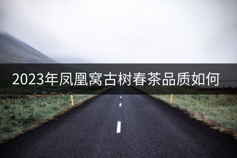 2023年鳳凰窩古樹春茶品質(zhì)如何？