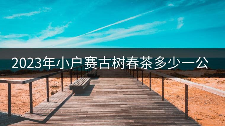 2023年小戶賽古樹春茶多少一公斤？