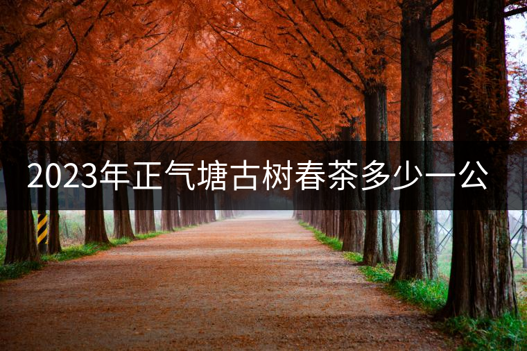 2023年正氣塘古樹春茶多少一公斤？