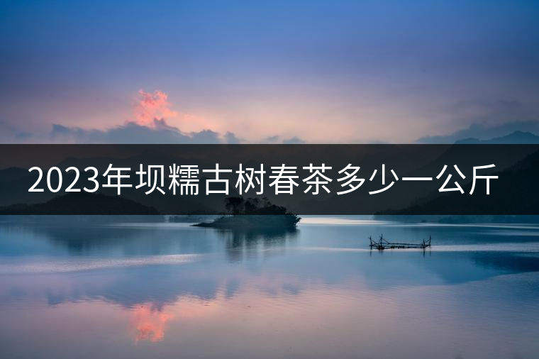 2023年壩糯古樹春茶多少一公斤？