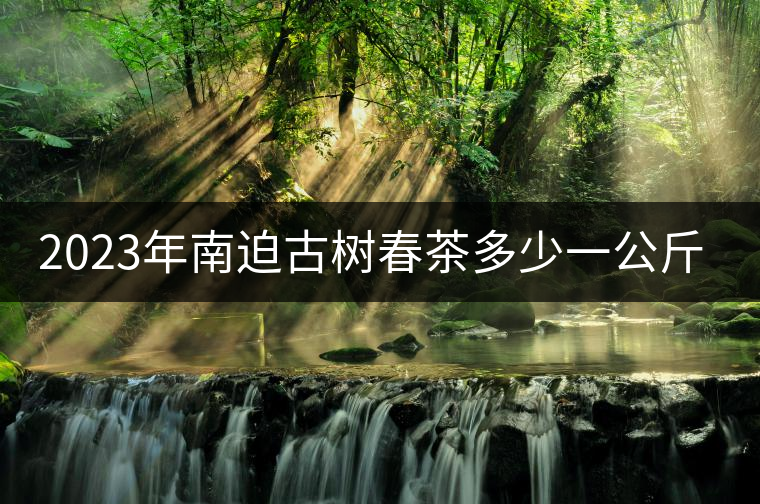 2023年南迫古樹春茶多少一公斤？
