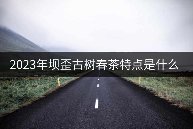 2023年壩歪古樹春茶特點(diǎn)是什么？