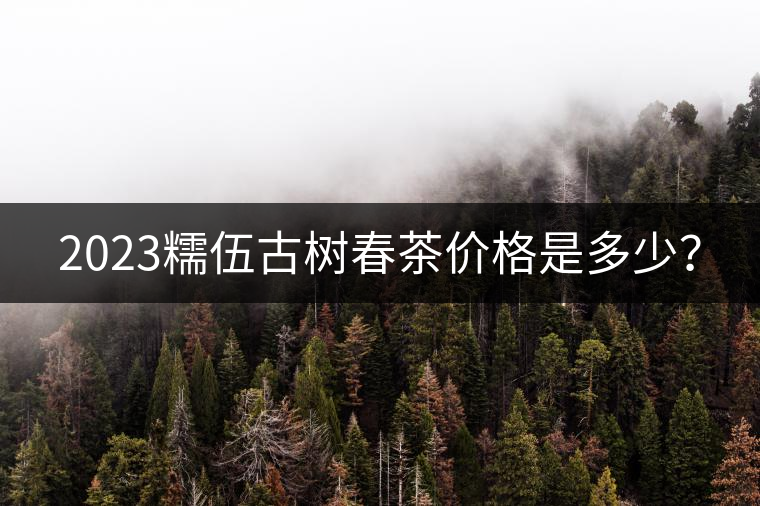 2023糯伍古樹春茶價(jià)格是多少？