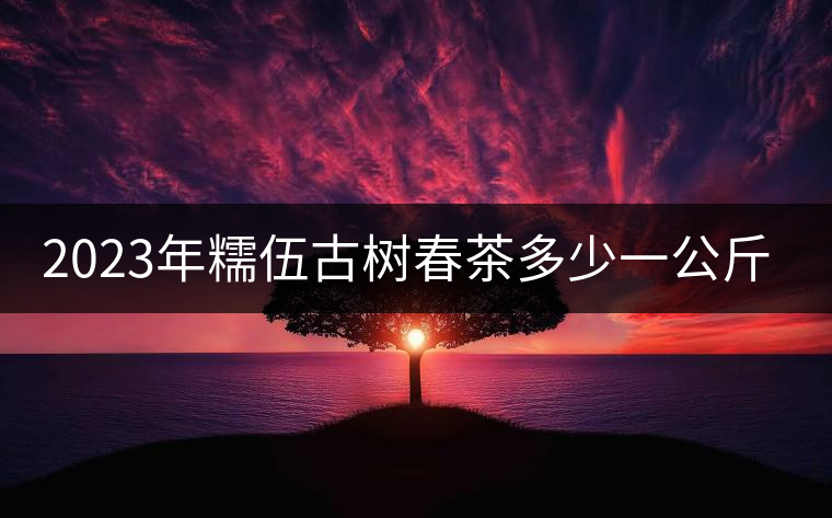 2023年糯伍古樹(shù)春茶多少一公斤? 2023年糯伍古樹(shù)春茶多少一公斤?