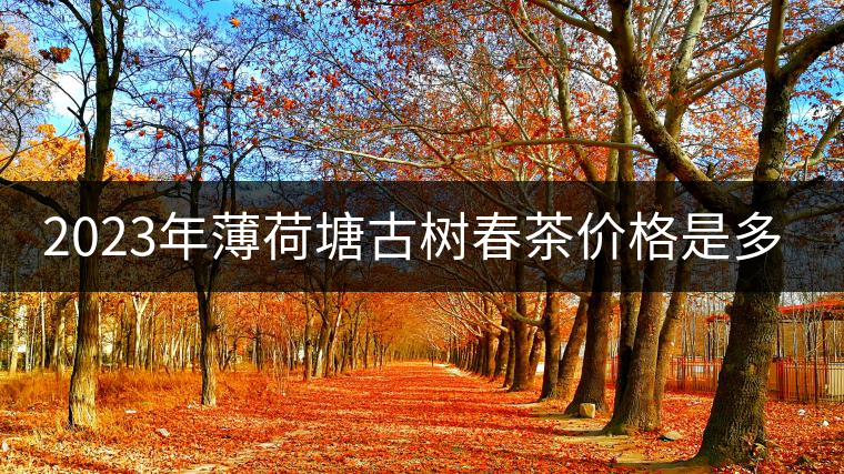 2023年薄荷塘古樹春茶價(jià)格是多少？