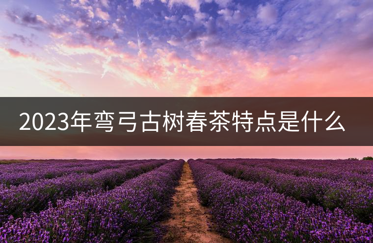 2023年彎弓古樹春茶特點(diǎn)是什么？