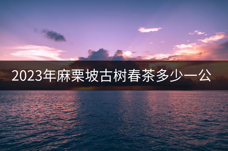 2023年麻栗坡古樹春茶多少一公斤？