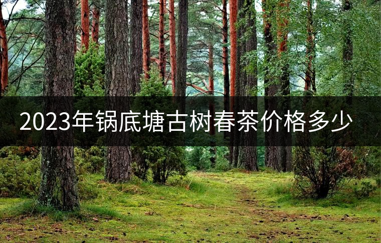 2023年鍋底塘古樹(shù)春茶價(jià)格多少？
