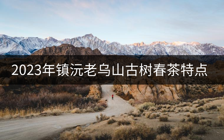 2023年鎮(zhèn)沅老烏山古樹春茶特點是什么？