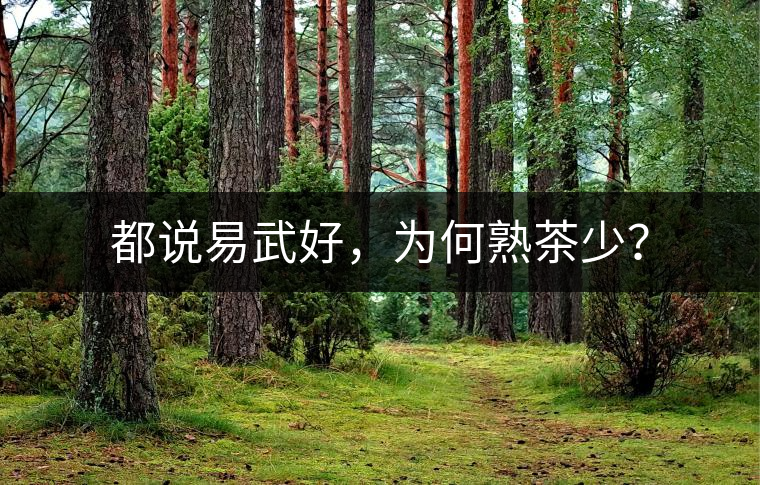 都說易武好，為何熟茶少？
