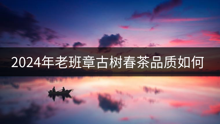 2024年老班章古樹春茶品質(zhì)如何？