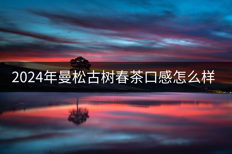 2024年曼松古樹(shù)春茶口感怎么樣? 2024年曼松古樹(shù)春茶口感怎么樣?