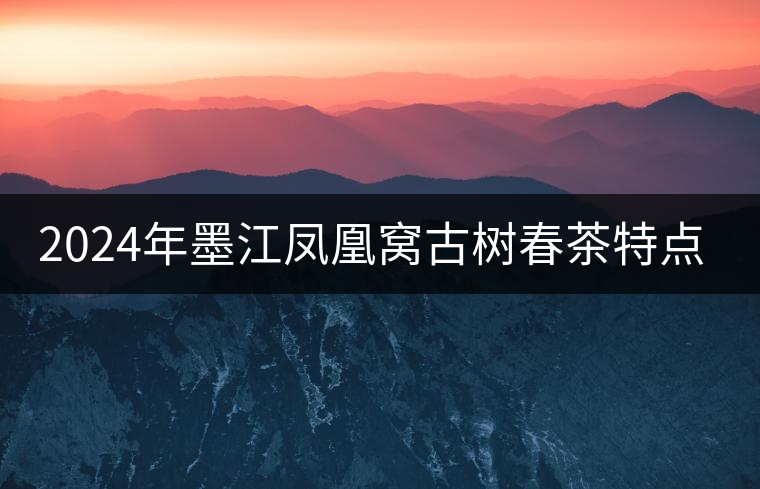2024年墨江鳳凰窩古樹春茶特點(diǎn)是什么？