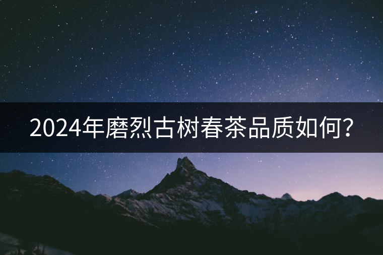 2024年磨烈古樹春茶品質(zhì)如何？