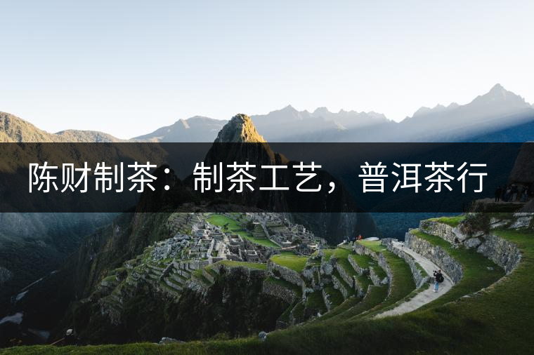 陳財(cái)制茶：制茶工藝，普洱茶行業(yè)的生死線