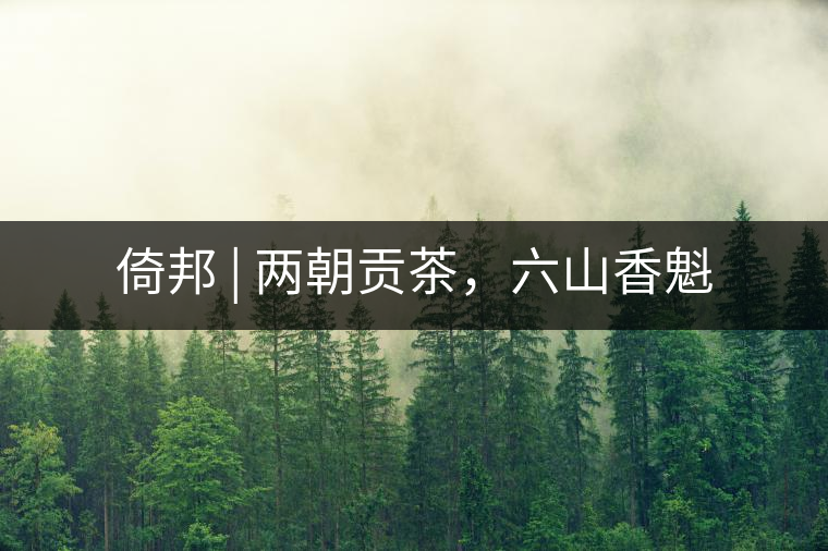 倚邦 | 兩朝貢茶，六山香魁