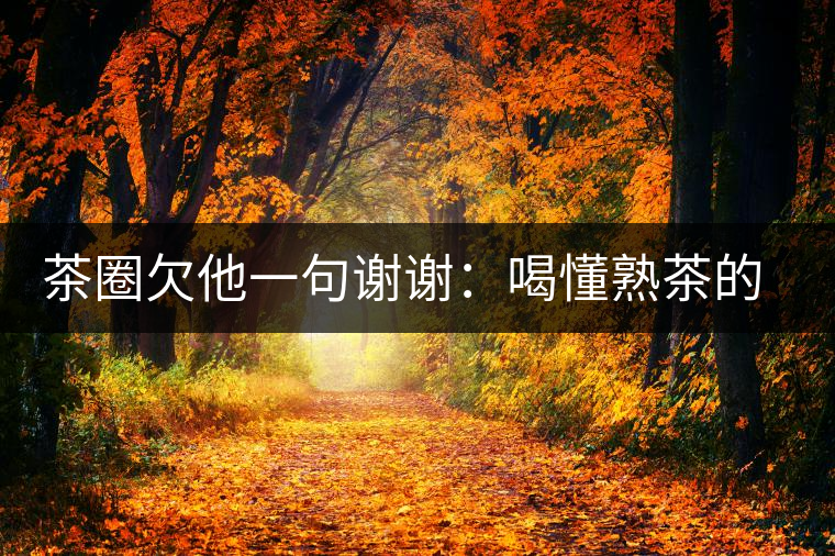 茶圈欠他一句謝謝：喝懂熟茶的人，都該記住陳佩仁這個名字