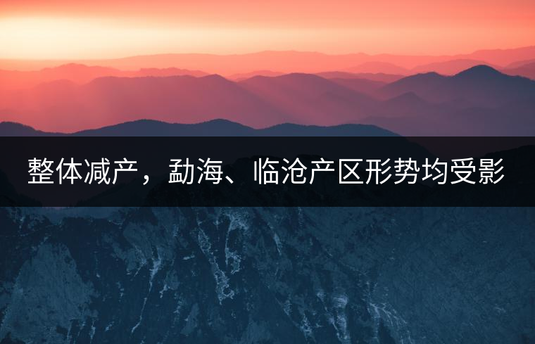 整體減產(chǎn)，勐海、臨滄產(chǎn)區(qū)形勢均受影響