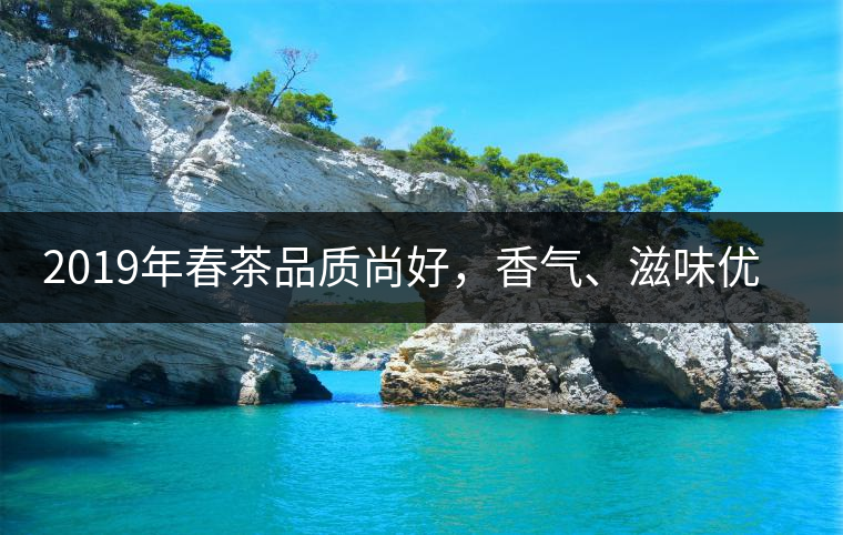 2019年春茶品質(zhì)尚好，香氣、滋味優(yōu)于去年