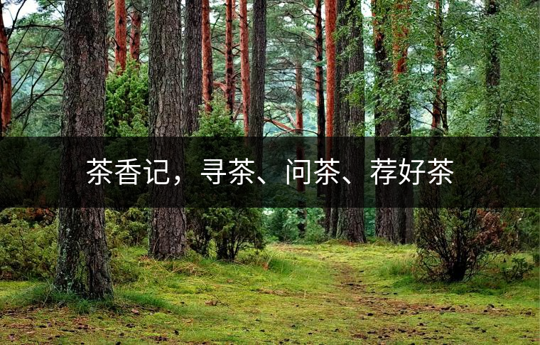 茶香記，尋茶、問茶、薦好茶