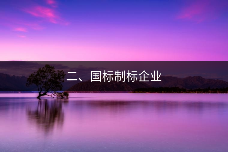 二、國標(biāo)制標(biāo)企業(yè)