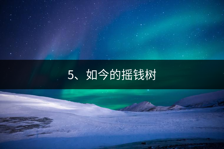 5、如今的搖錢樹