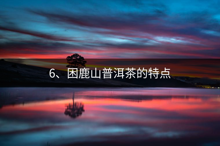 6、困鹿山普洱茶的特點