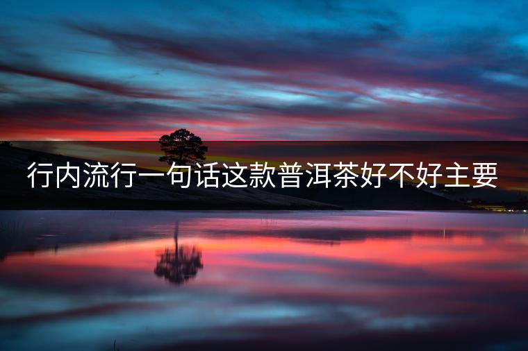 行內(nèi)流行一句話這款普洱茶好不好主要還看尾水，雖然比較片面但是也有一定道理。