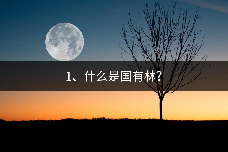 1、什么是國(guó)有林？
